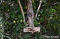 VBS_3148 - Mango (Cuneo) - Gnomovia